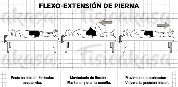 flexo-extensionestirado